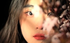 草草鸟事书包网